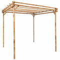 Pergola en Bambou pour Plantes Grimpantes et Rosiers
