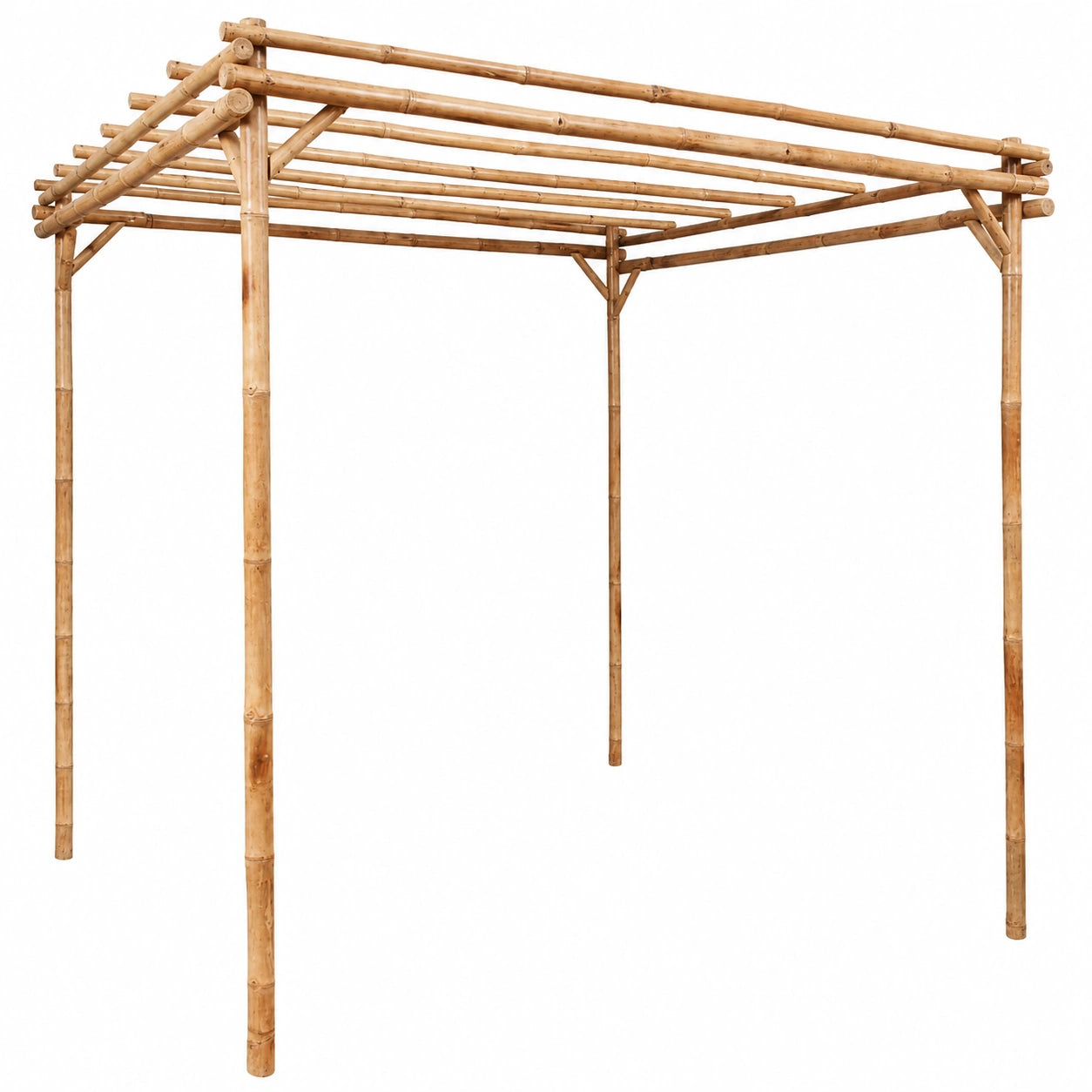 Pergola en Bambou pour Plantes Grimpantes et Rosiers