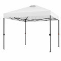 Tente de Jardin Pliante Imperméable 3 x 3 m avec Accessoires