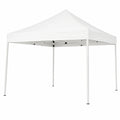 Tonnelle de Jardin Pliable 3x3m avec Sac de Transport