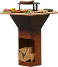 Barbecook Brasero Exterieur en Acier avec Plancha et Surface de Cuisson