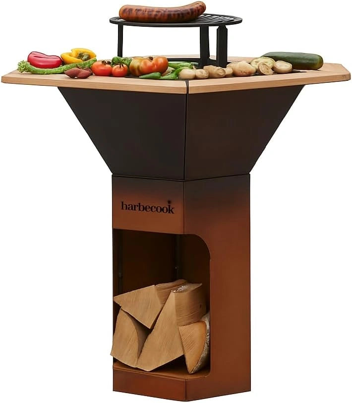 Barbecook Brasero Exterieur en Acier avec Plancha et Surface de Cuisson
