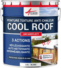 ARCANE INDUSTRIES Peinture Réfléchissante Cool Roof pour Toitures - Protection UV et Réduction de Chaleur, 2.5L Blanc