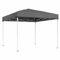 Tonnelle pliante 3 x 3 m, protection solaire, résistante à la pluie, portable, pour jardin