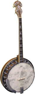 Banjo 4 cordes Barnes & Mullins BJ504BW, instrument de musique
